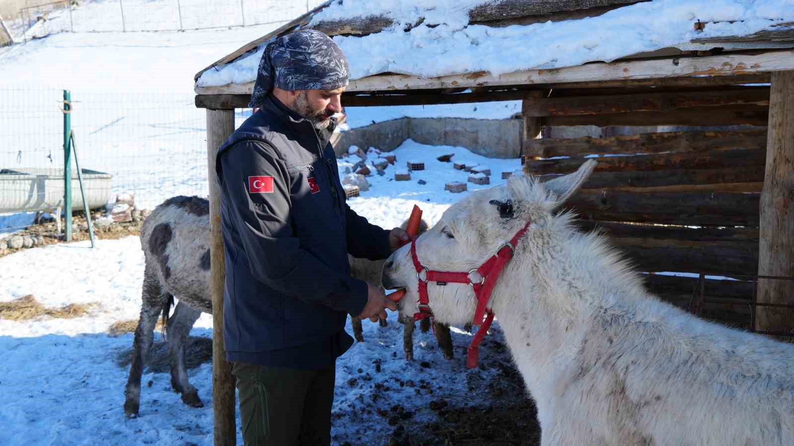 Ankara’da sıra dışı yaşam: Onlarca hayvanla ortak hayat kurdu
Ankara’da sıra dışı yaşam: Onlarca hayvanla ortak hayat kurdu