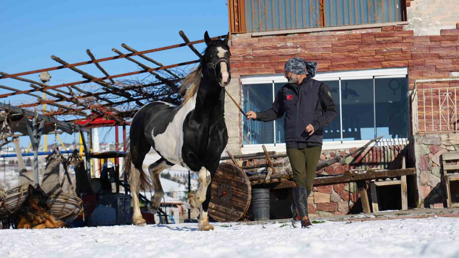 Ankara’da sıra dışı yaşam: Onlarca hayvanla ortak hayat kurdu
Ankara’da sıra dışı yaşam: Onlarca hayvanla ortak hayat kurdu