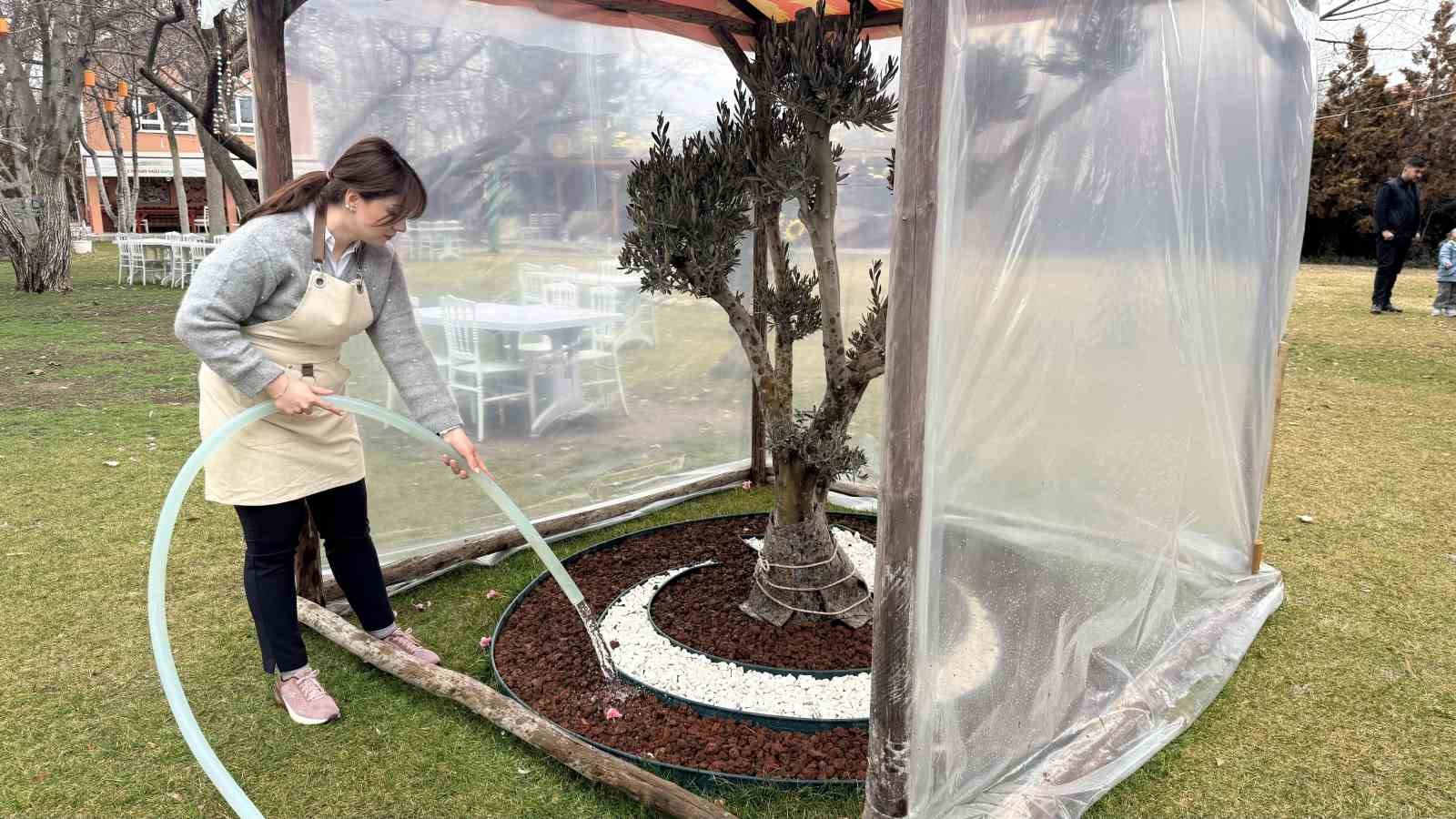 Ankaralı iki kardeş azmetti, hayallerini kır bahçesine dönüştürdü
