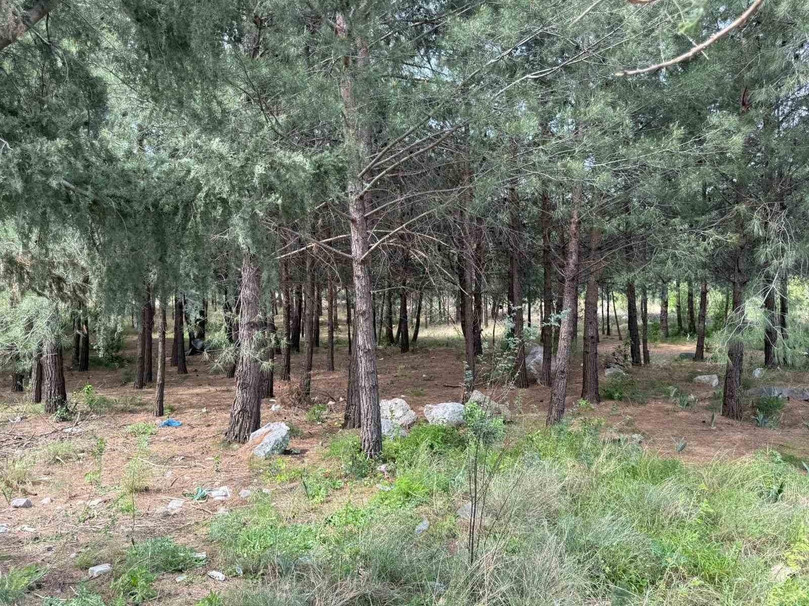 Anne ve oğlunu öldüren katil akrabaların çaldıkları altınları kuyumcuya sattıkları ortaya çıktı
