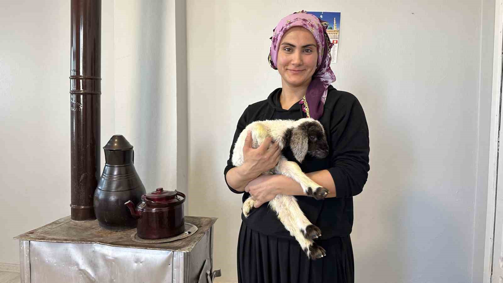 Annesiz kalan kuzu ailenin ‘Umut’u oldu
