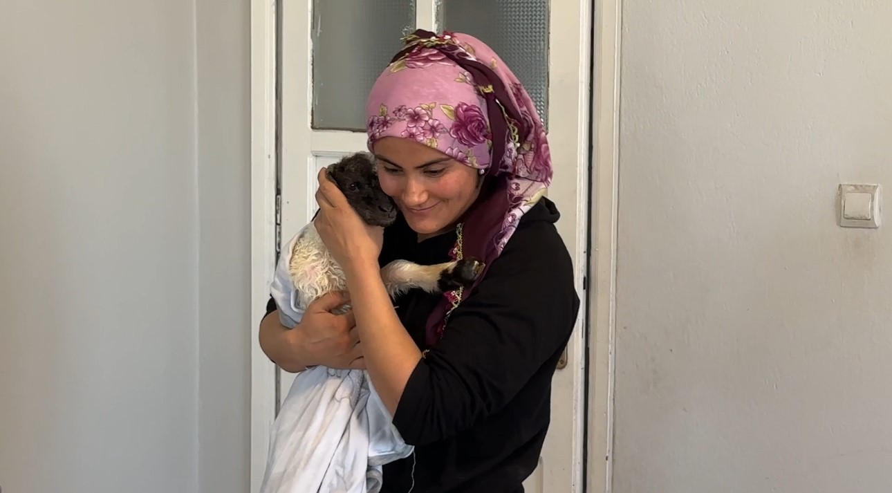 Annesiz kalan kuzu ailenin ‘Umut’u oldu
