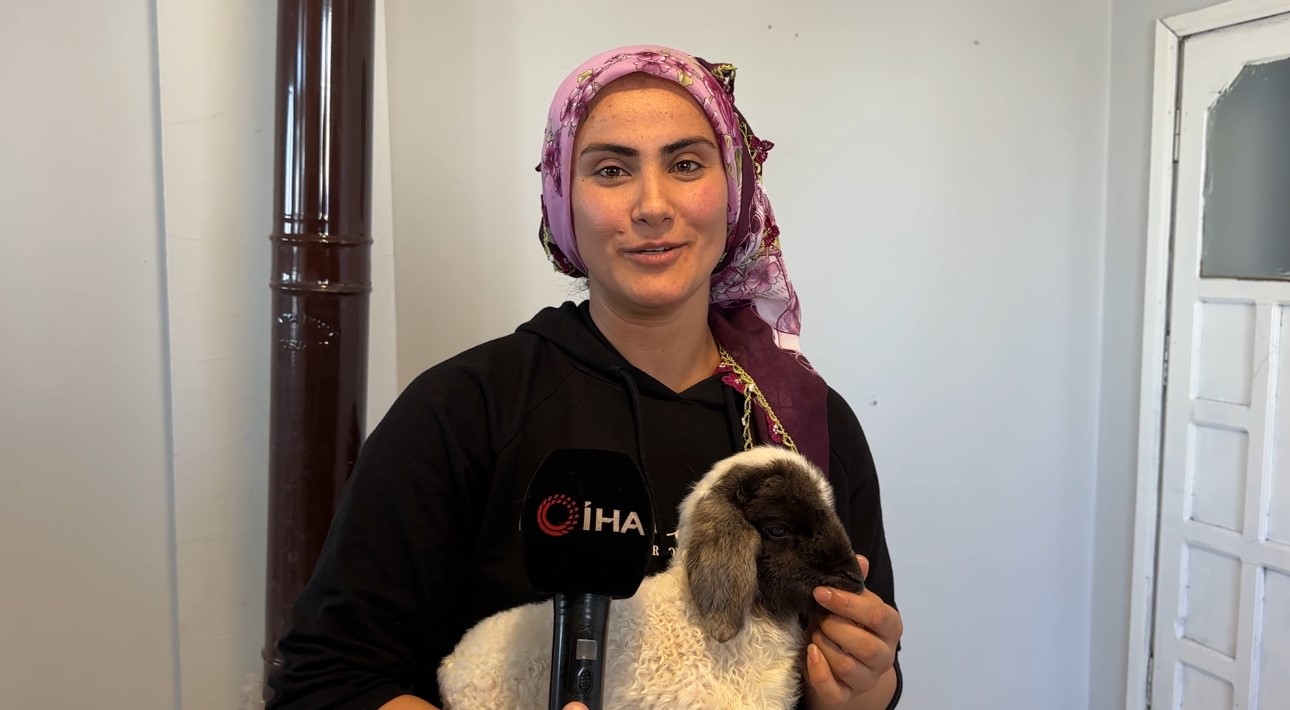 Annesiz kalan kuzu ailenin ‘Umut’u oldu
