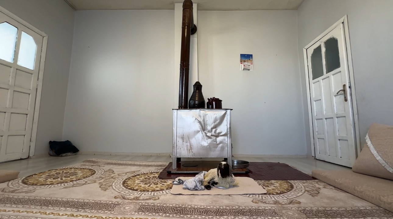 Annesiz kalan kuzu ailenin ‘Umut’u oldu
