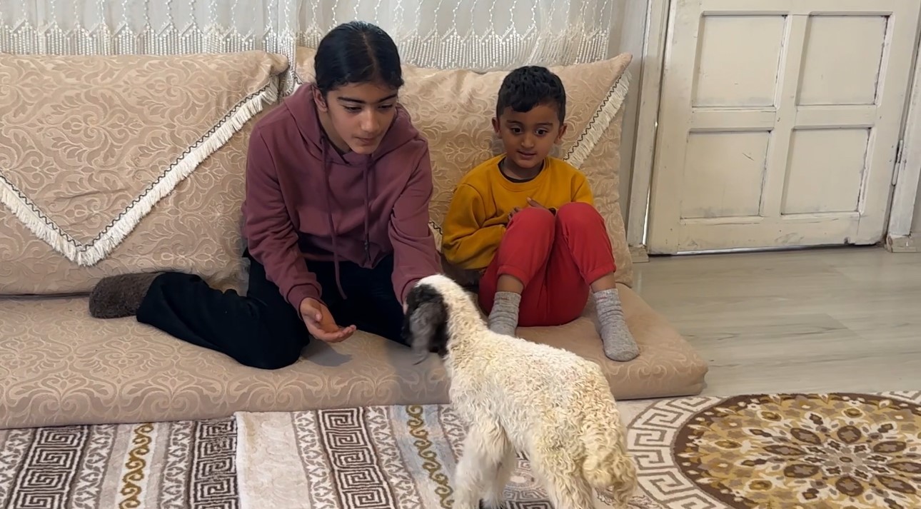 Annesiz kalan kuzu ailenin ‘Umut’u oldu
