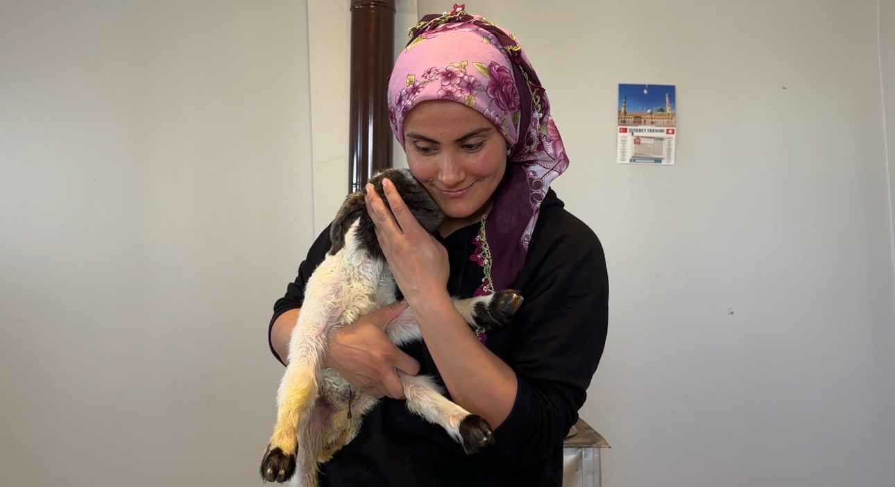 Annesiz kalan kuzu ailenin ‘Umut’u oldu
