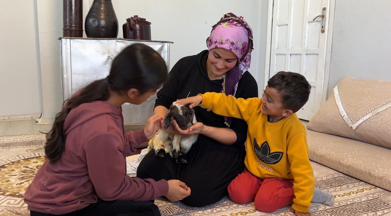 Annesiz kalan kuzu ailenin ‘Umut’u oldu
