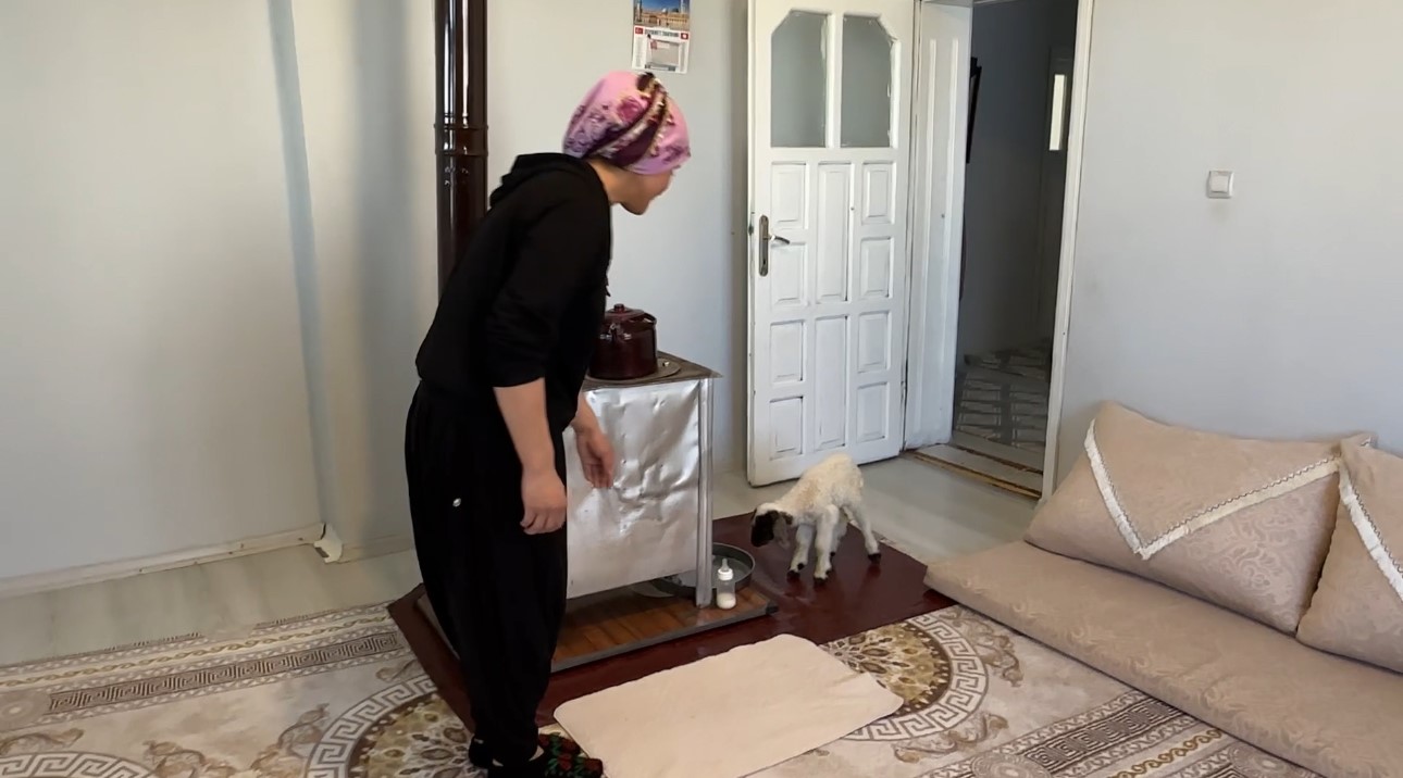Annesiz kalan kuzu ailenin ‘Umut’u oldu
