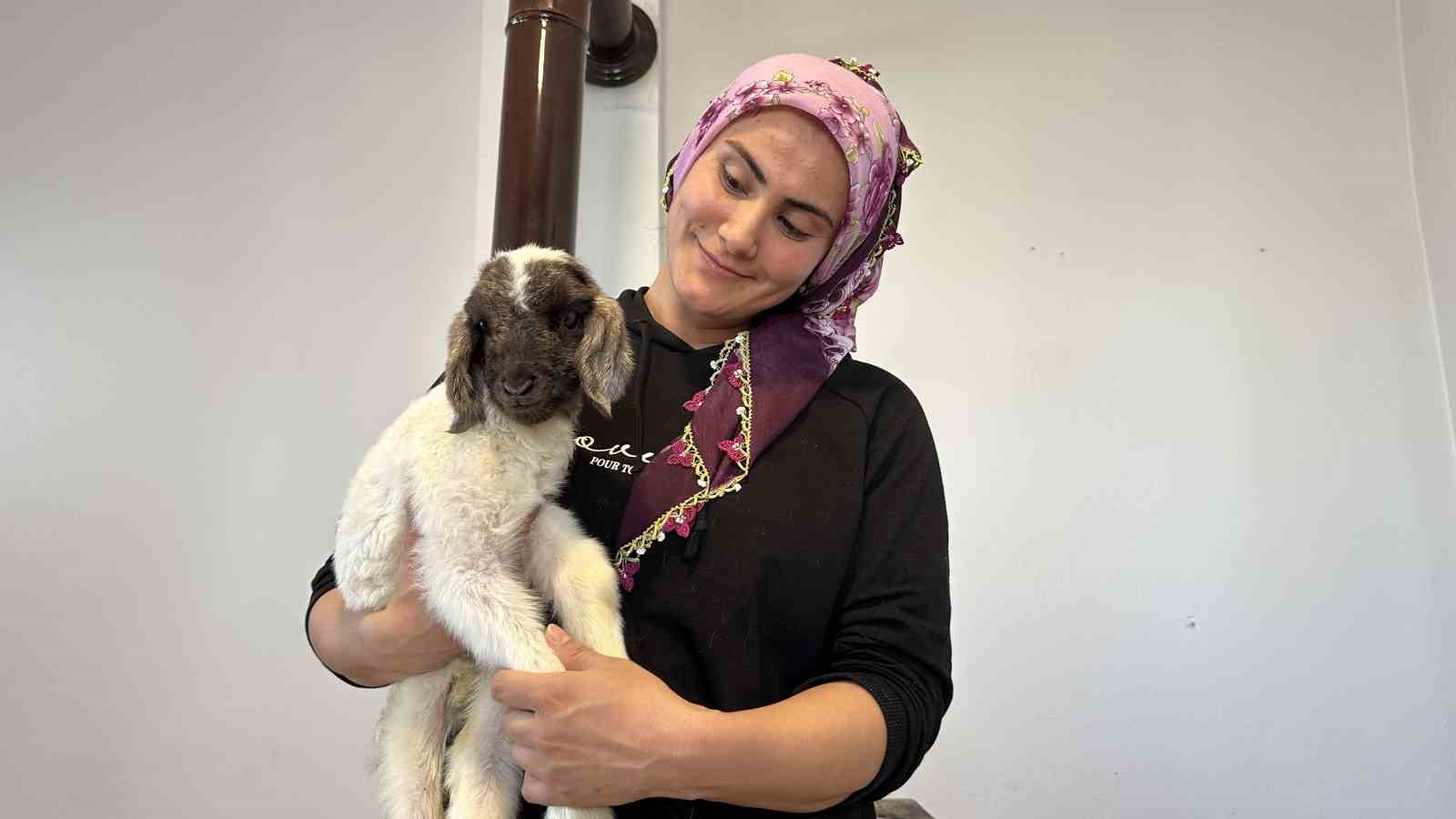 Annesiz kalan kuzu ailenin ‘Umut’u oldu
