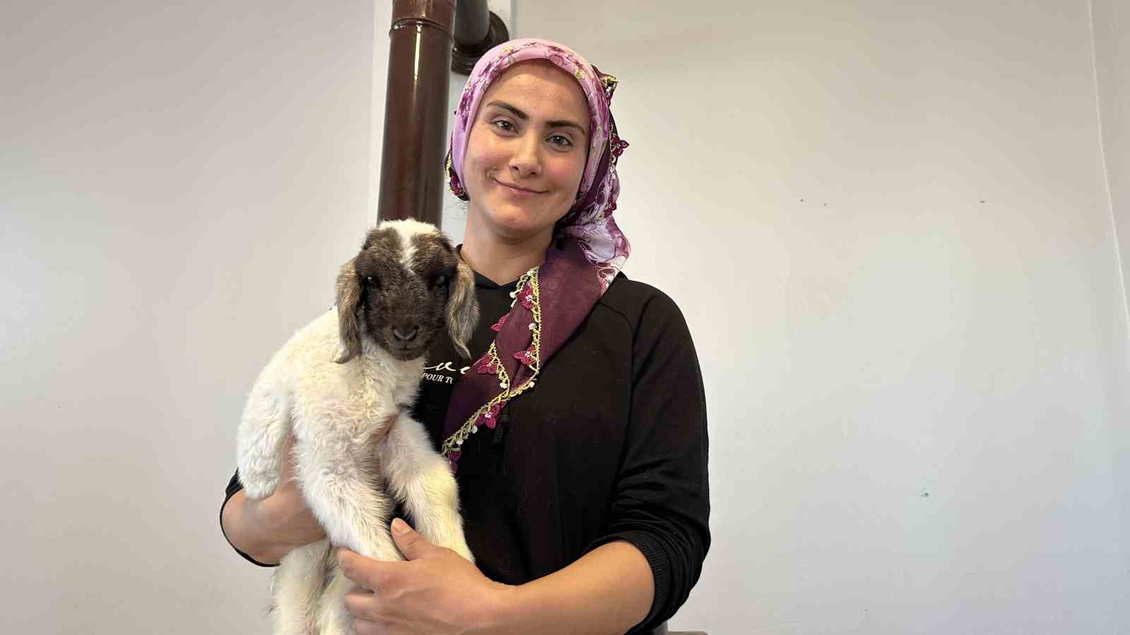 Annesiz kalan kuzu ailenin ‘Umut’u oldu
