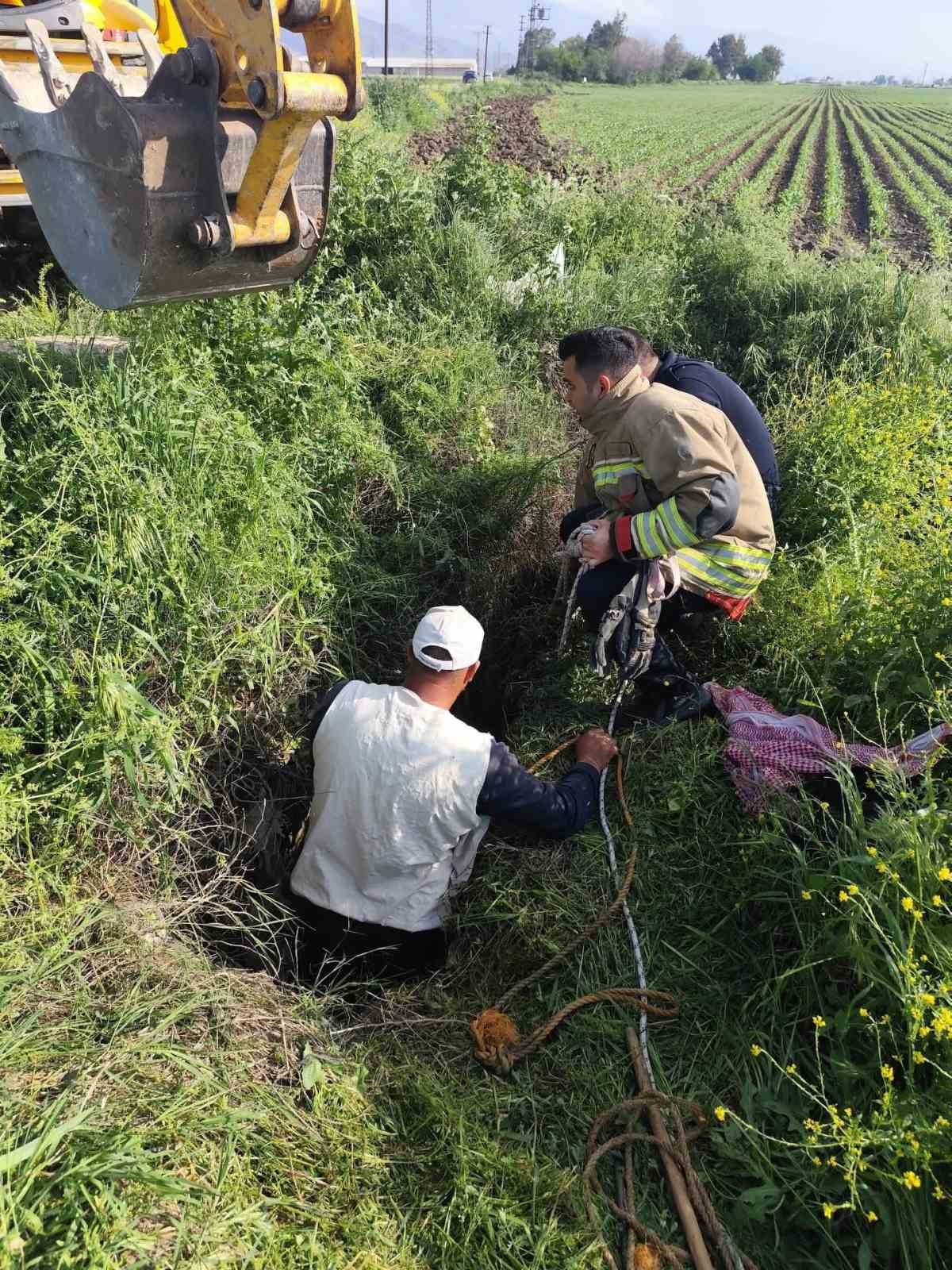 Antakya’da kuyuya düşen büyükbaş hayvan kurtarıldı
