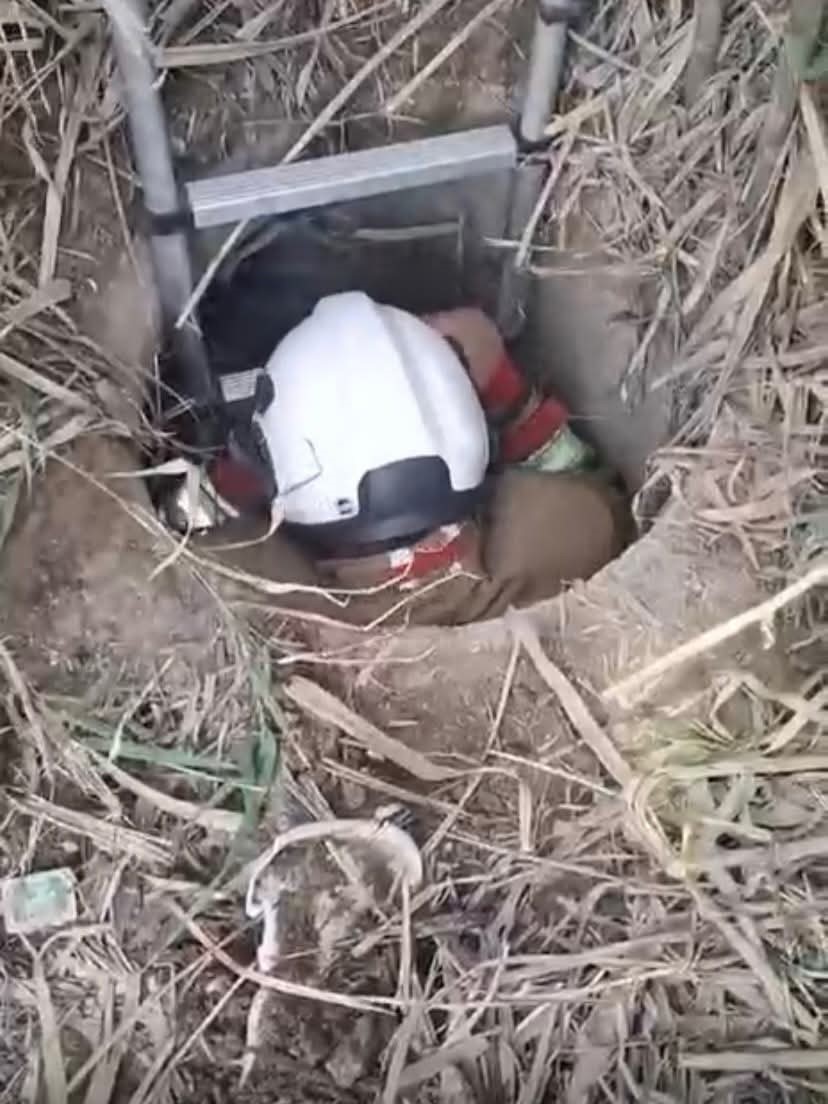 Antakya’da kuyuya düşen köpeği itfaiye kurtardı
