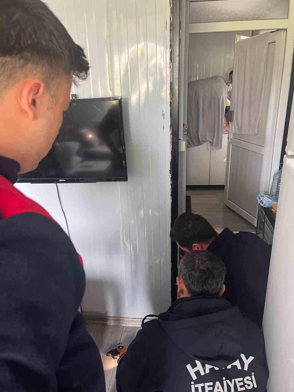 Antakya’da profil demirine sıkışan kuş kurtarıldı
