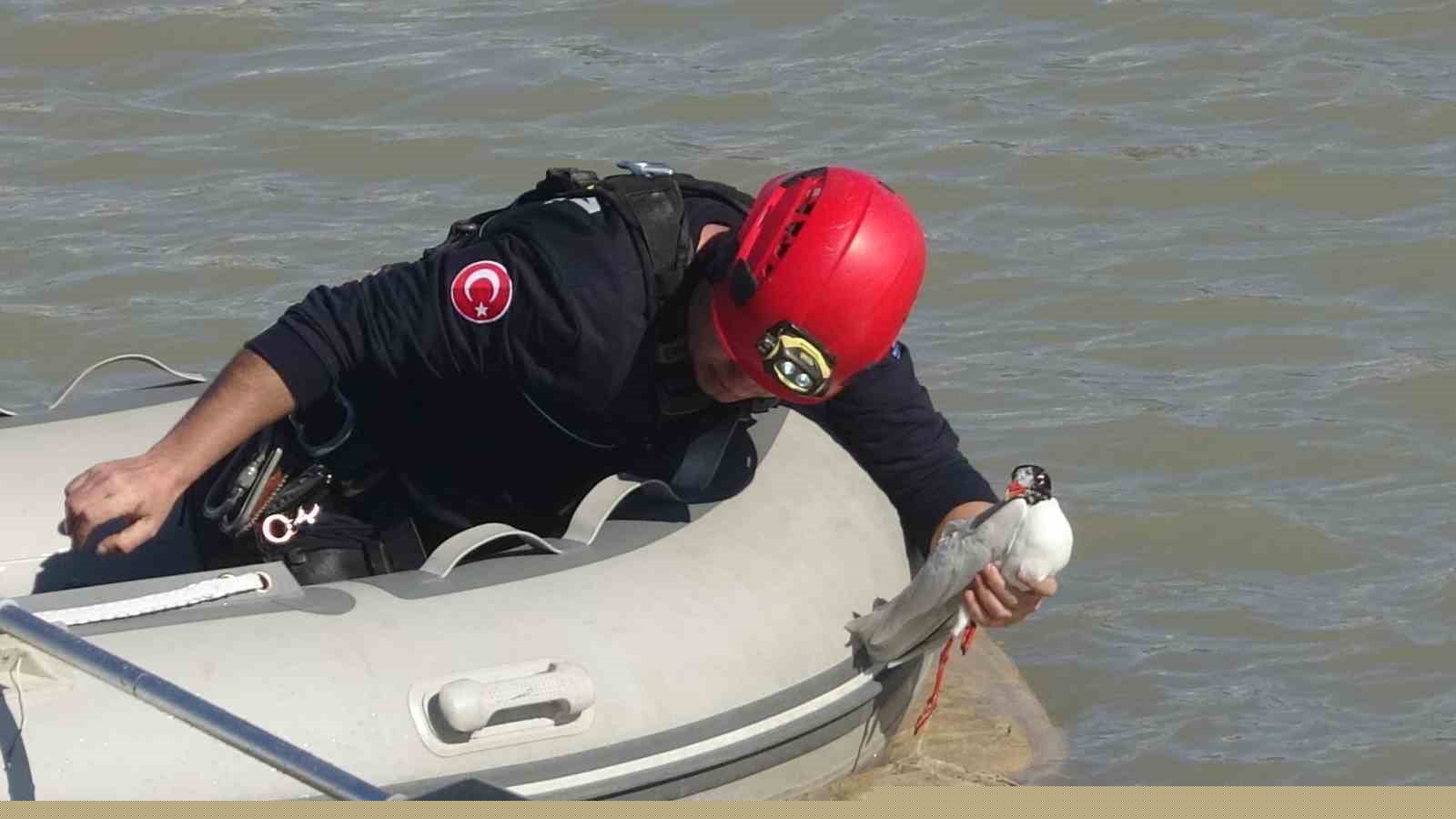Antalya itfaiyesinden film gibi martı kurtarma operasyonu
