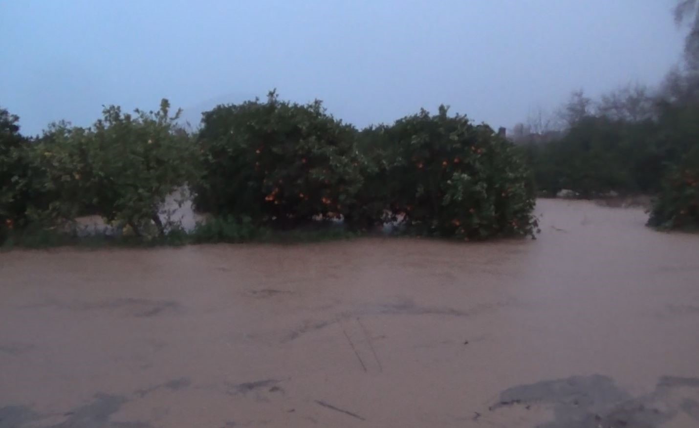 Antalya Kumluca’da sağanak yağış tarım arazilerini sular altında bıraktı, araçta mahsur kalan sürücü botla kurtarıldı
