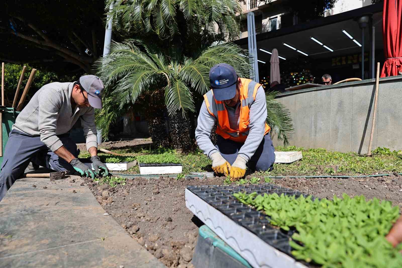Antalya’da bahar hazırlığı: 4 milyon çiçek toprakla buluşuyor
Antalya’da bahar hazırlığı: 4 milyon çiçek toprakla buluşuyor