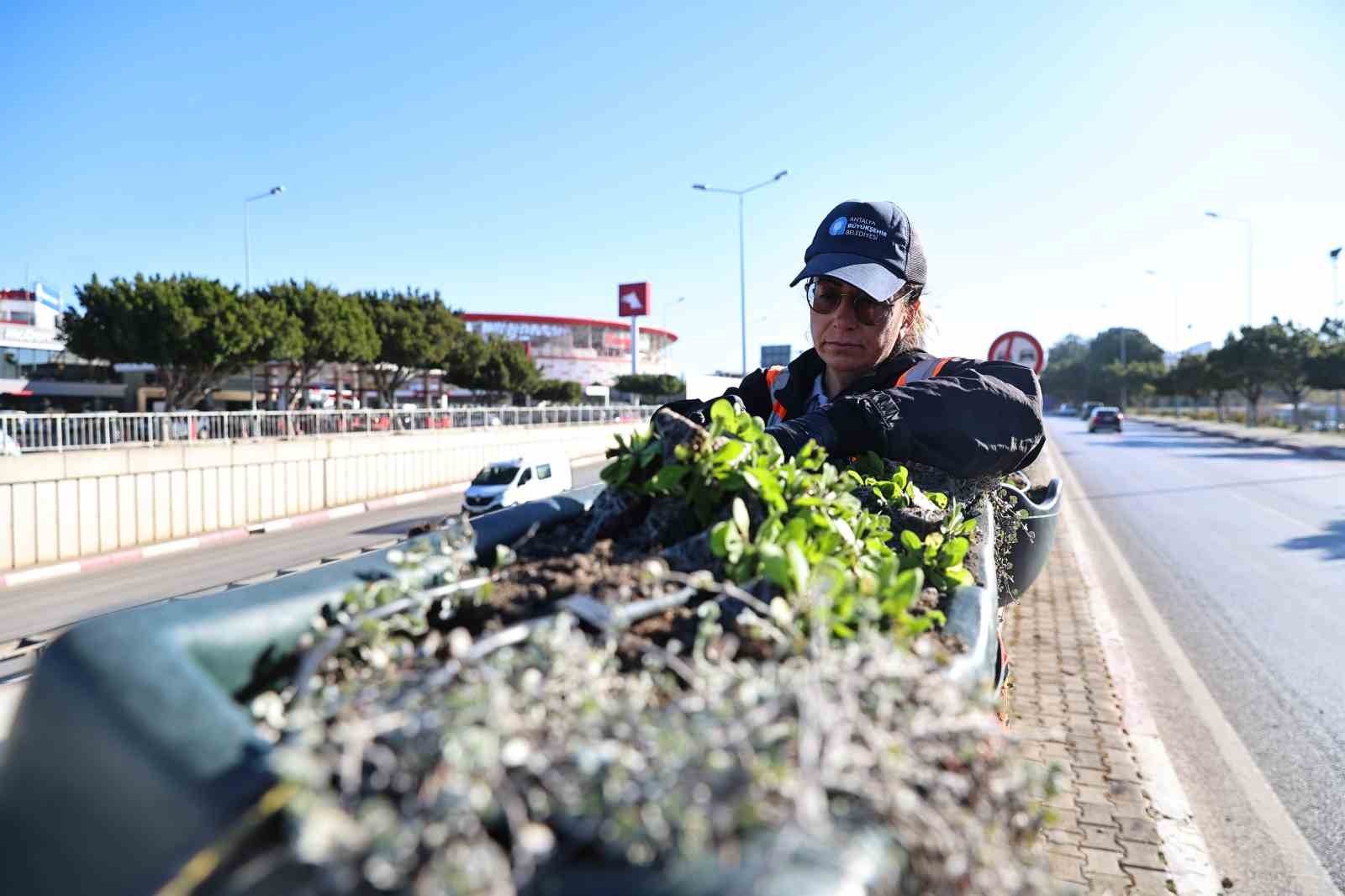 Antalya’da bahar hazırlığı: 4 milyon çiçek toprakla buluşuyor
Antalya’da bahar hazırlığı: 4 milyon çiçek toprakla buluşuyor