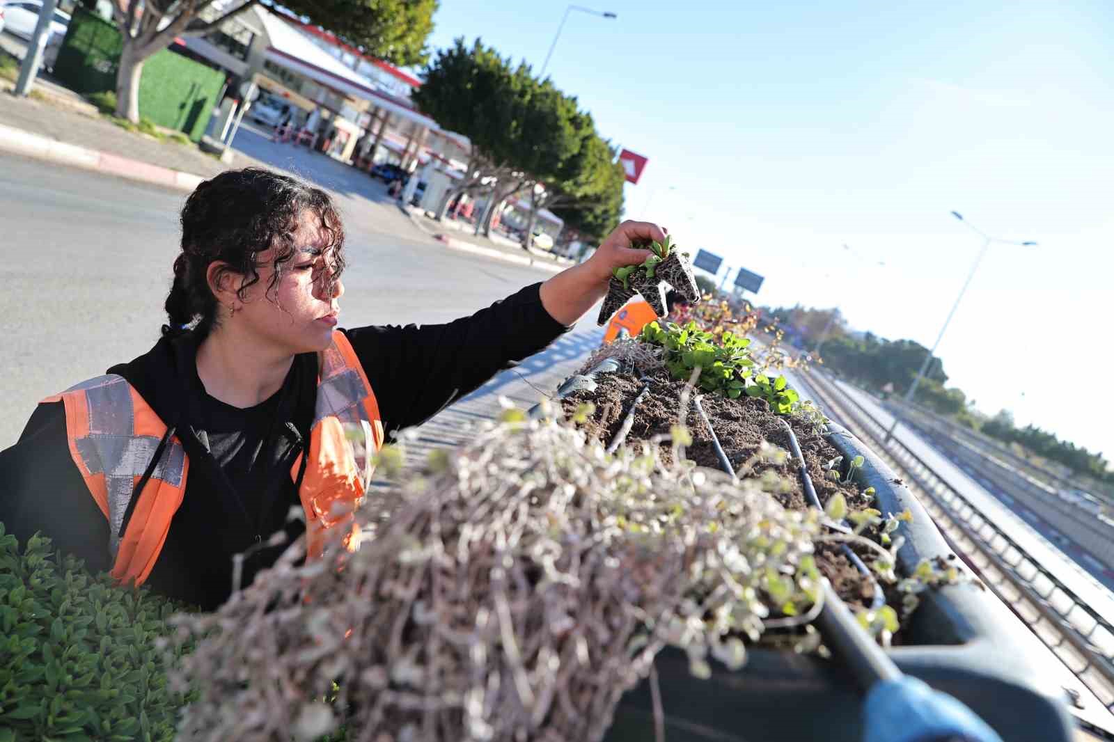 Antalya’da bahar hazırlığı: 4 milyon çiçek toprakla buluşuyor
Antalya’da bahar hazırlığı: 4 milyon çiçek toprakla buluşuyor