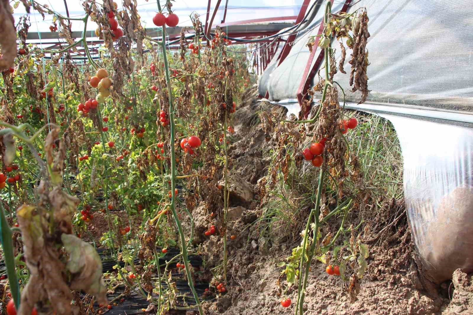 Antalya’da heyelan evlerin duvarlarını çatlattı, seralara dev kayalar düştü
