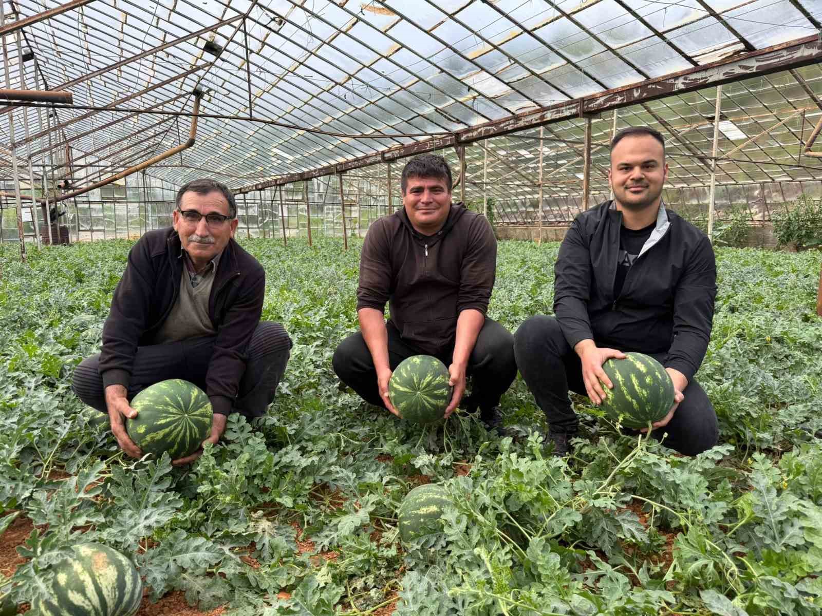 Antalya’da  kış karpuzu hasadı için geri sayım başladı
