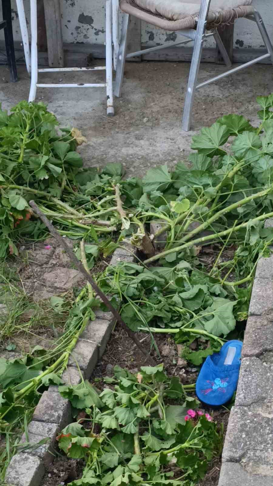 Antalya’da küçük çocuk ikinci kattan düştü, olayı kırıklarla atlattı
