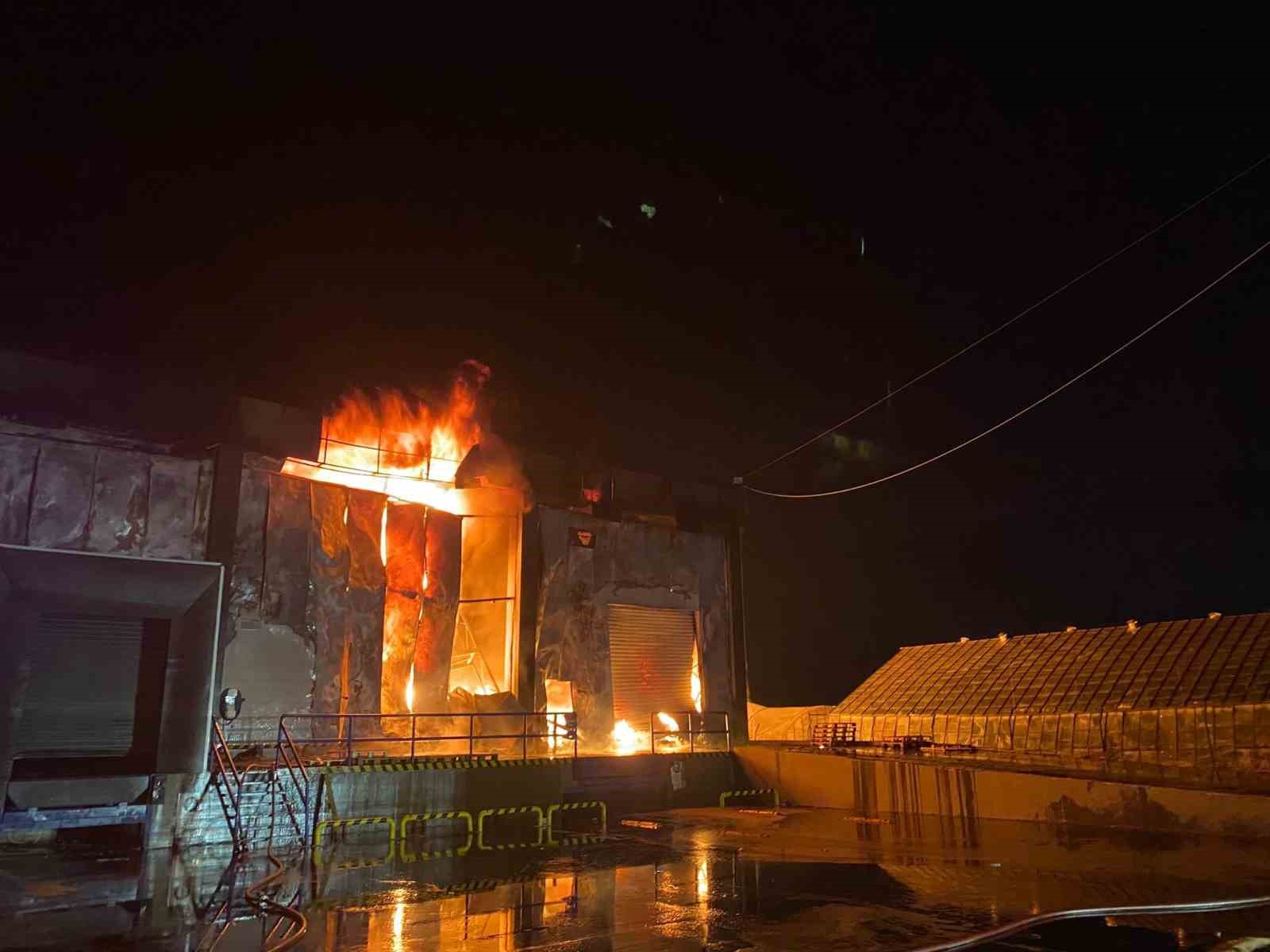 Antalya’da market deposu alev alev yandı, temel gıda alanı küle döndü
