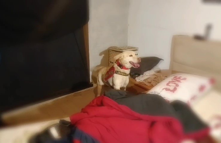 Antalya’da operasyon yapılan evde çok sayıda silah ele geçirildi
