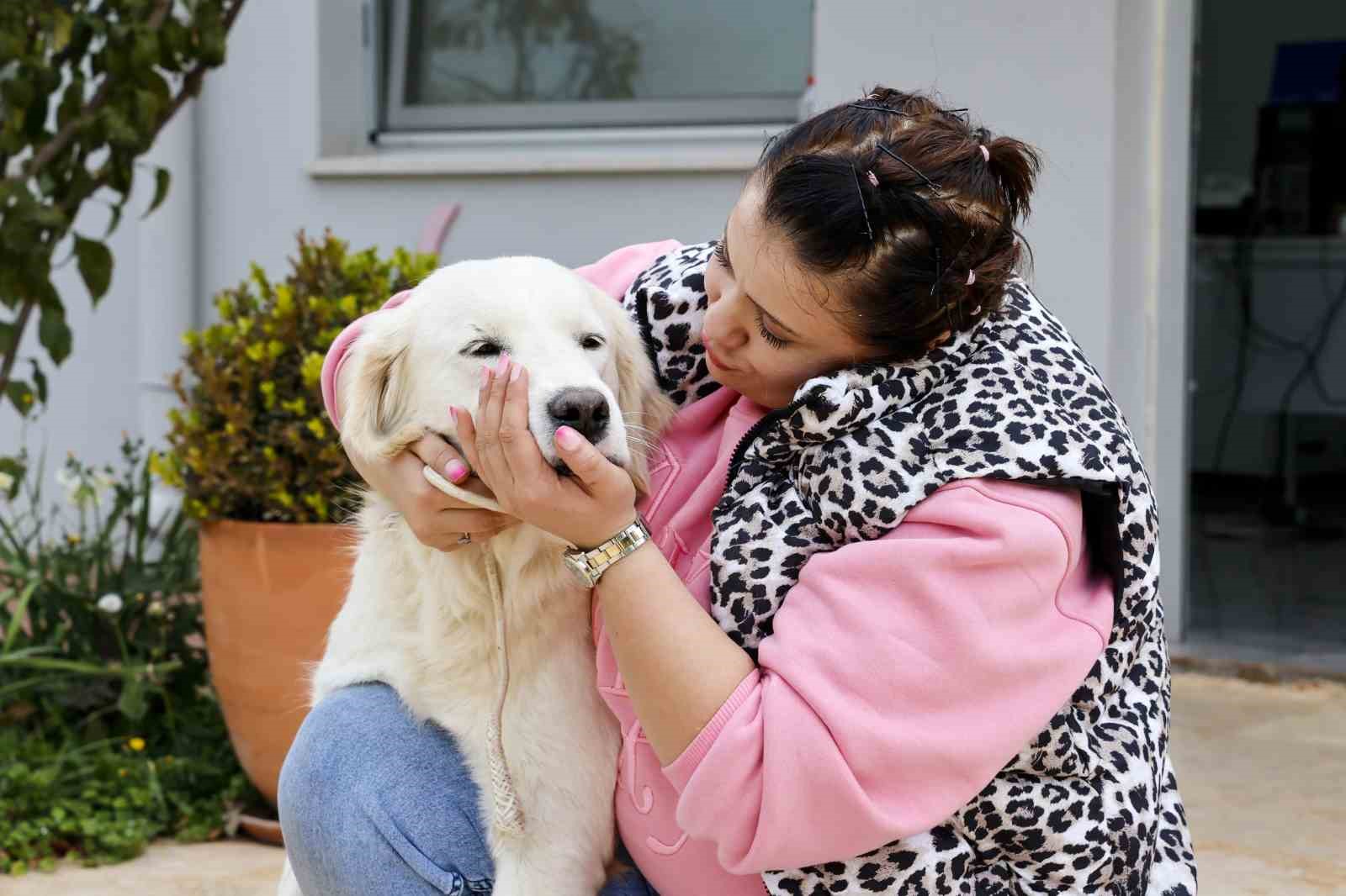 Antalya’da sokak hayvanları yeni sahiplerini bekliyor
