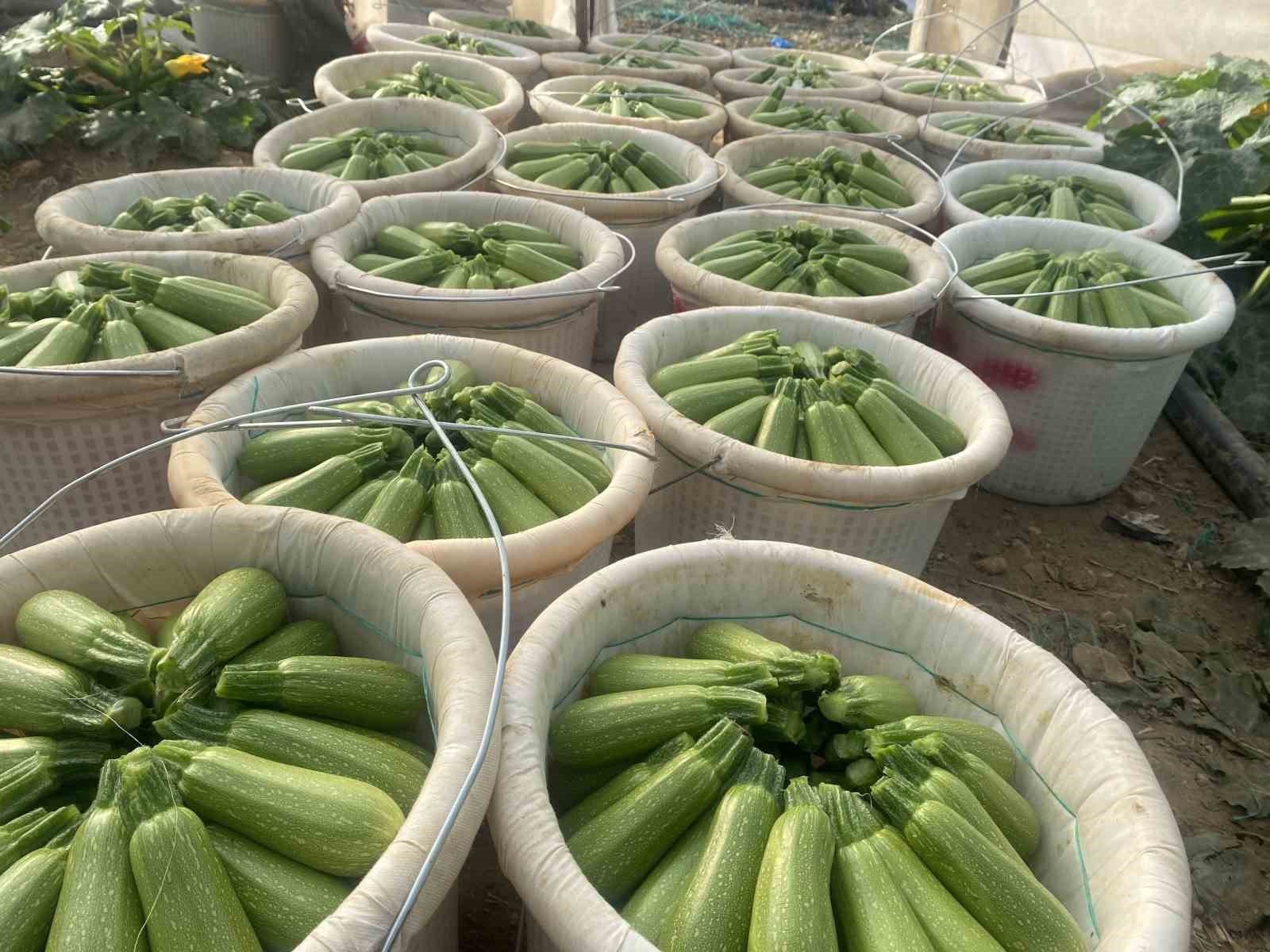 Antalya’da Şubat ayında meyve işlem miktar endeksi yüzde 21,34 azaldı
