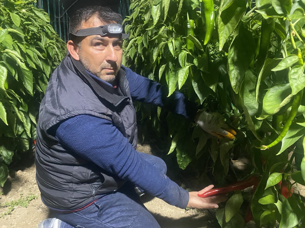 Antalya’da üretici don nöbetinde
Antalya’da üretici don nöbetinde