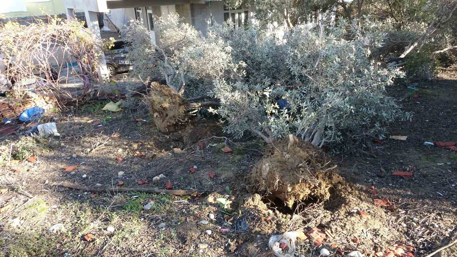 Antalya’daki hortum anı kamerada: Konteynerler savruldu, araç gitmekte zorlandı
Antalya’daki hortum anı kamerada: Konteynerler savruldu, araç gitmekte zorlandı