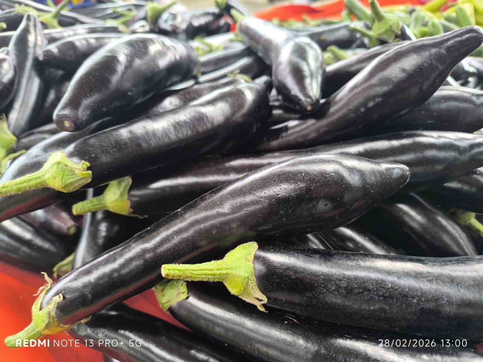 Antalya’daki olumsuz hava şartları patlıcanın tadını kaçırdı
