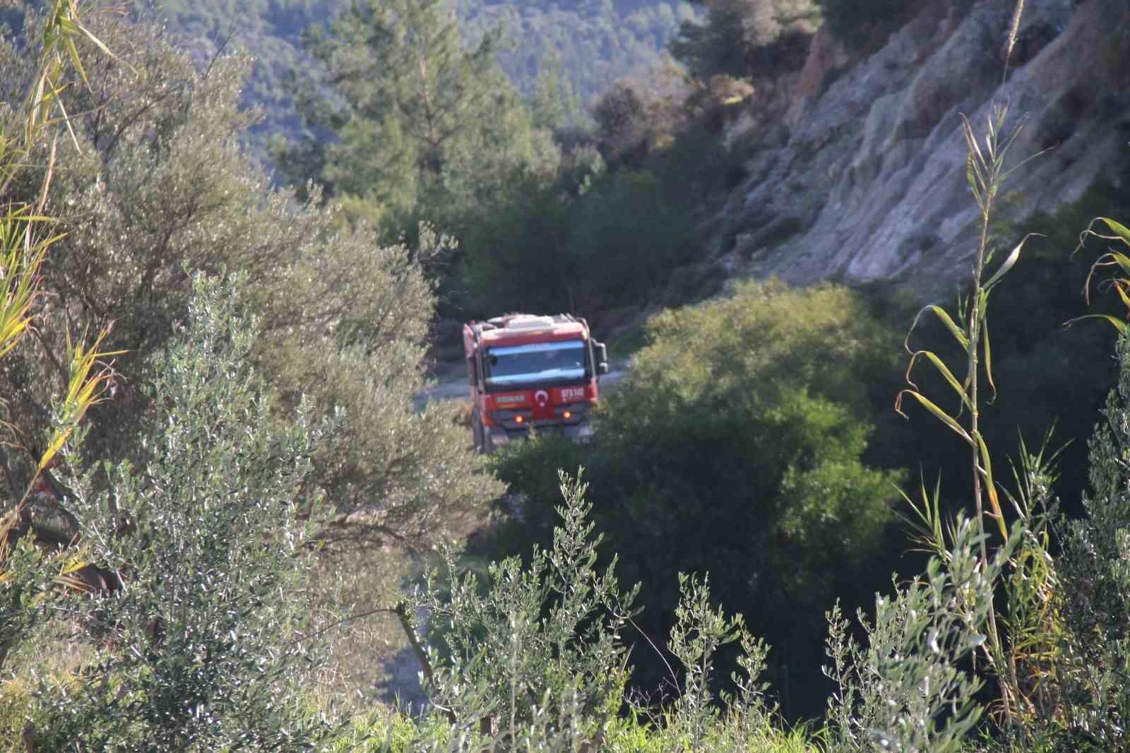 Antalya’daki orman yangınında zararın boyutu gündüz ortaya çıktı: 2 hektar zarar gördü
