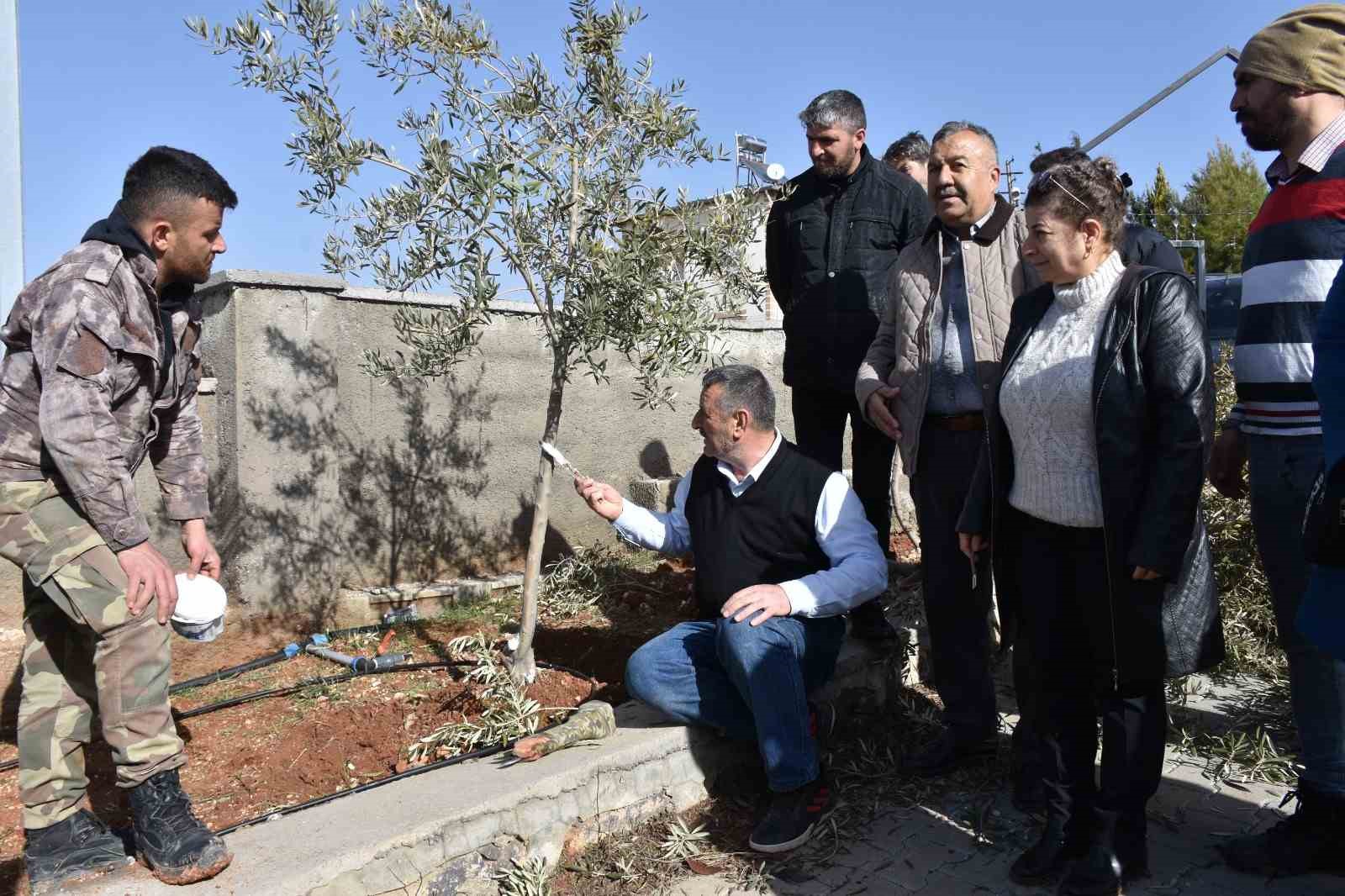 Antep fıstığı ve zeytin üreticilerine budama eğitimi
Antep fıstığı ve zeytin üreticilerine budama eğitimi