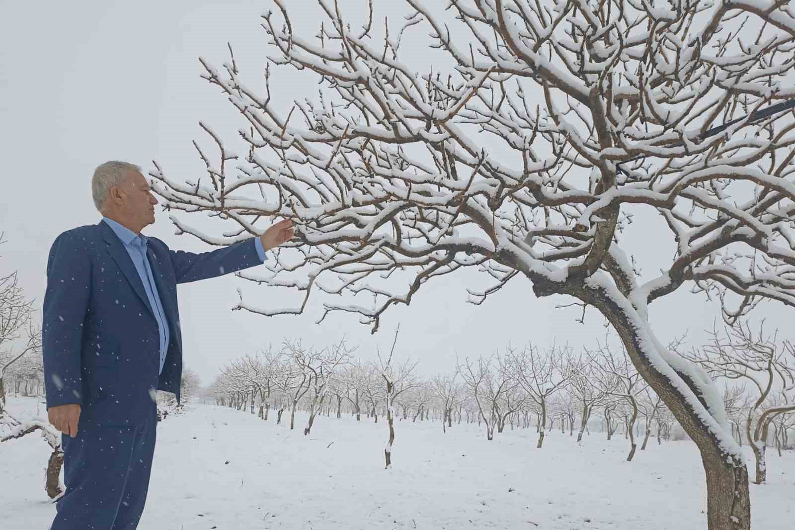 Araban’da kar yağışları çiftçiler, zeytin ve Antepfıstığı üreticilerinin yüzünü güldürdü
