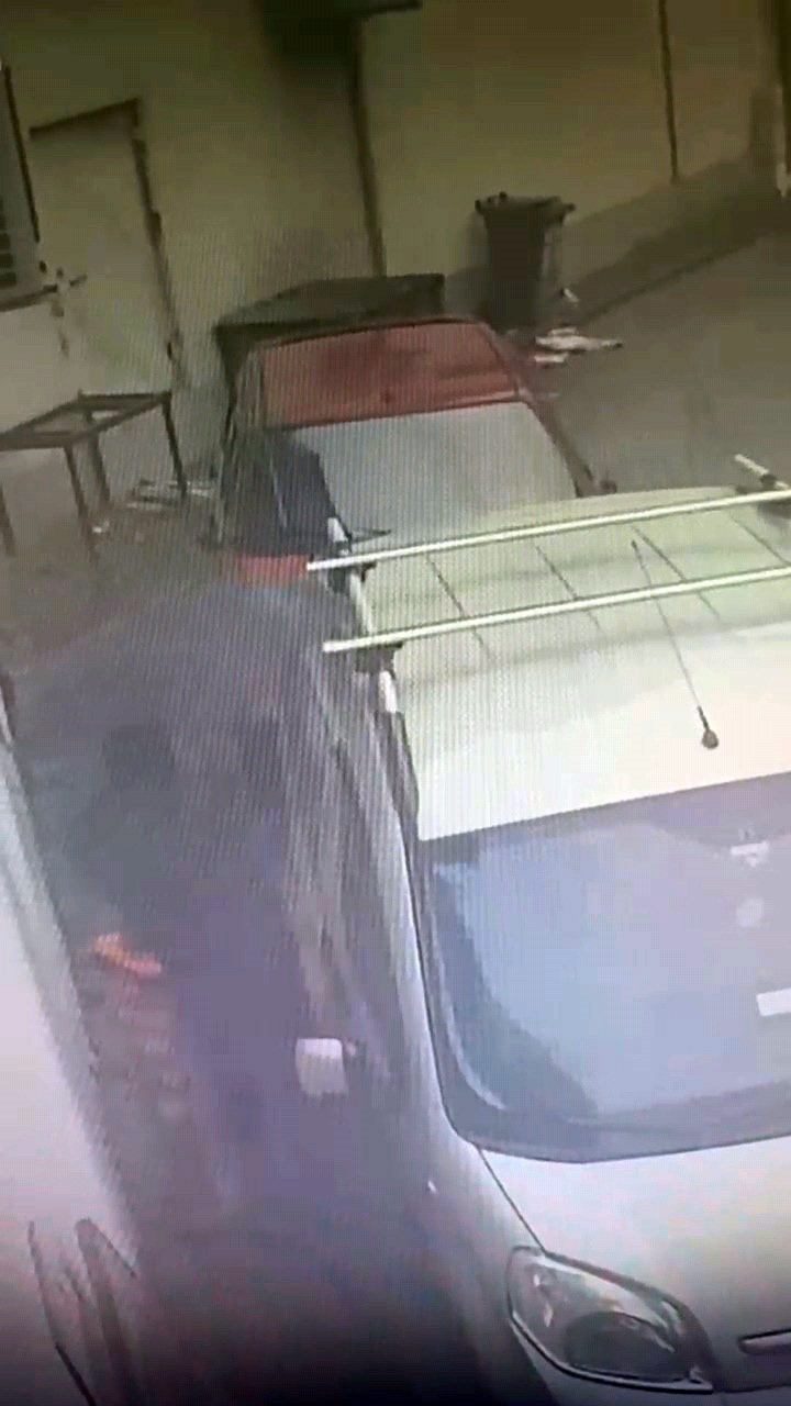 Araç faresi yakayı ele verdi
