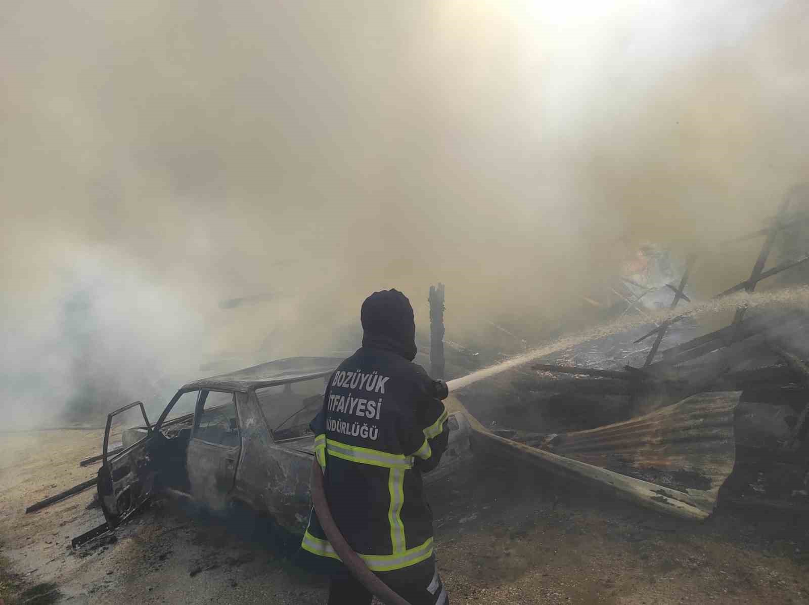 Araç yangını odunluğa sıçradı
