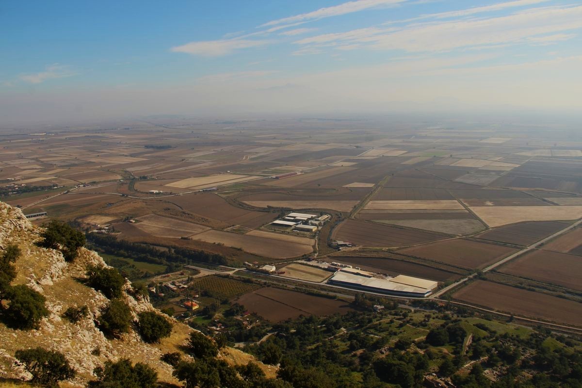 Aracın çarptığı porsuk telef oldu
Aracın çarptığı porsuk telef oldu