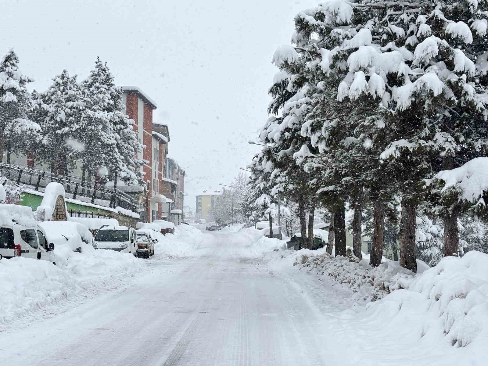 Arapgir beyaza büründü
