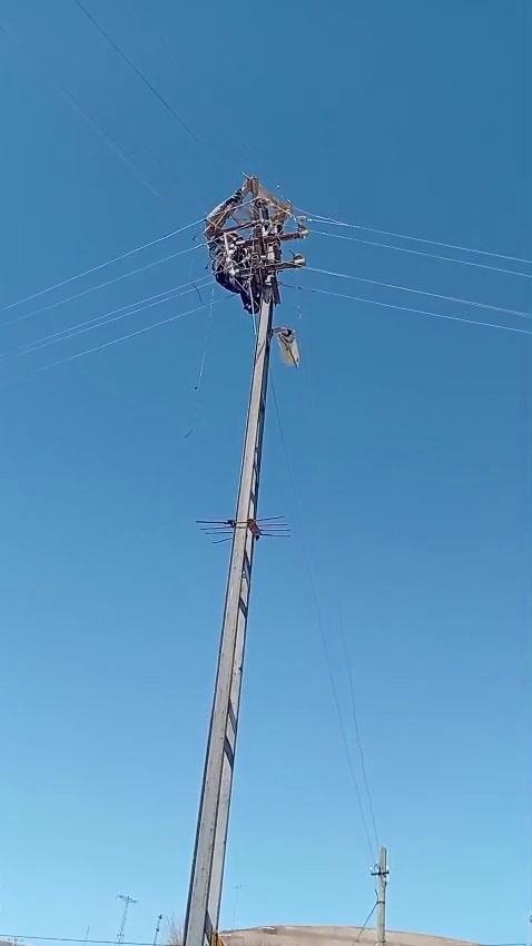 Aras Elektrik’ten doğa dostu adım: Fırtınada zarar gören leylek yuvaları yeniden yerine yerleştirildi
Aras Elektrik’ten doğa dostu adım: Fırtınada zarar gören leylek yuvaları yeniden yerine yerleştirildi