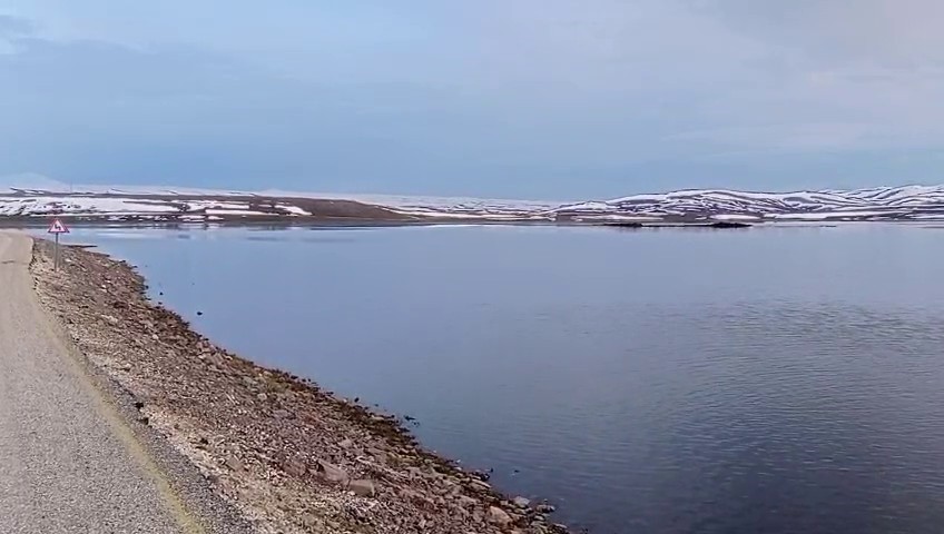 Aras Nehri baharla birlikte coştu
