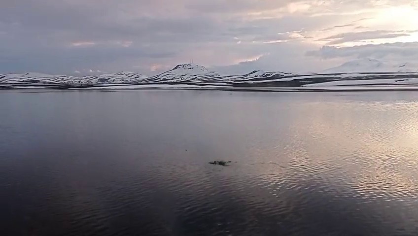 Aras Nehri baharla birlikte coştu
