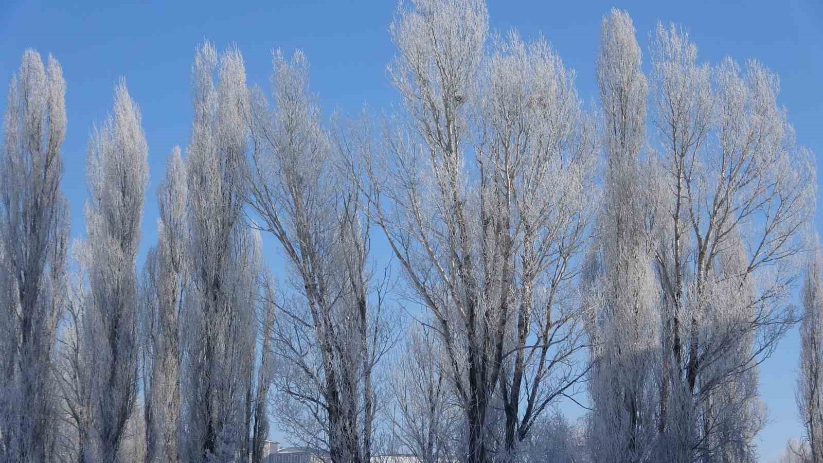 Ardahan dondu; Göle eksi 39,7’yi gördü
Ardahan dondu; Göle eksi 39,7’yi gördü