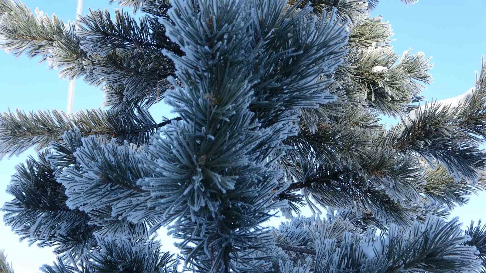 Ardahan dondu; Göle eksi 39,7’yi gördü
Ardahan dondu; Göle eksi 39,7’yi gördü