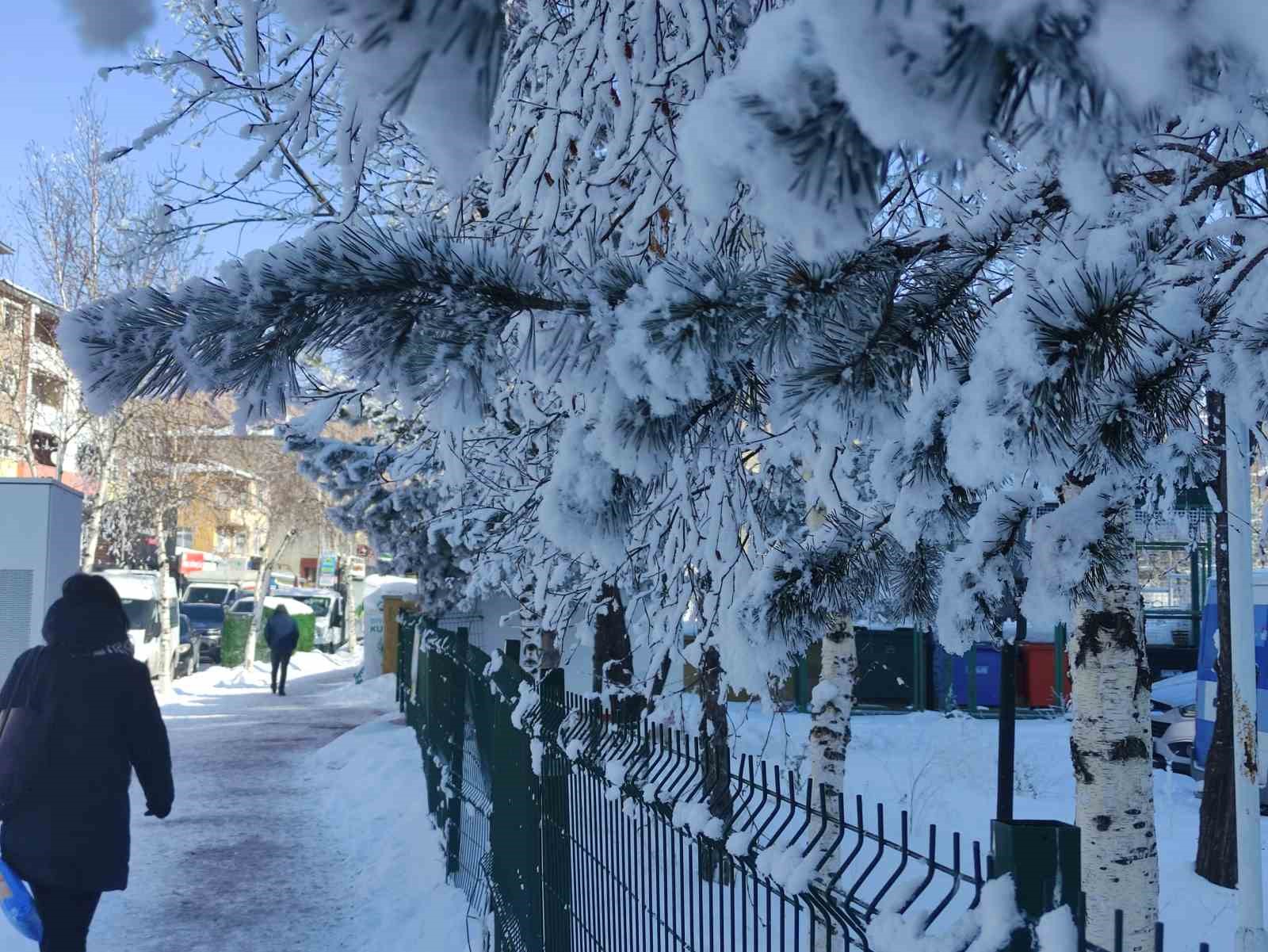 Ardahan’da dondurucu soğuk ağaçları kırağıyla kapladı
