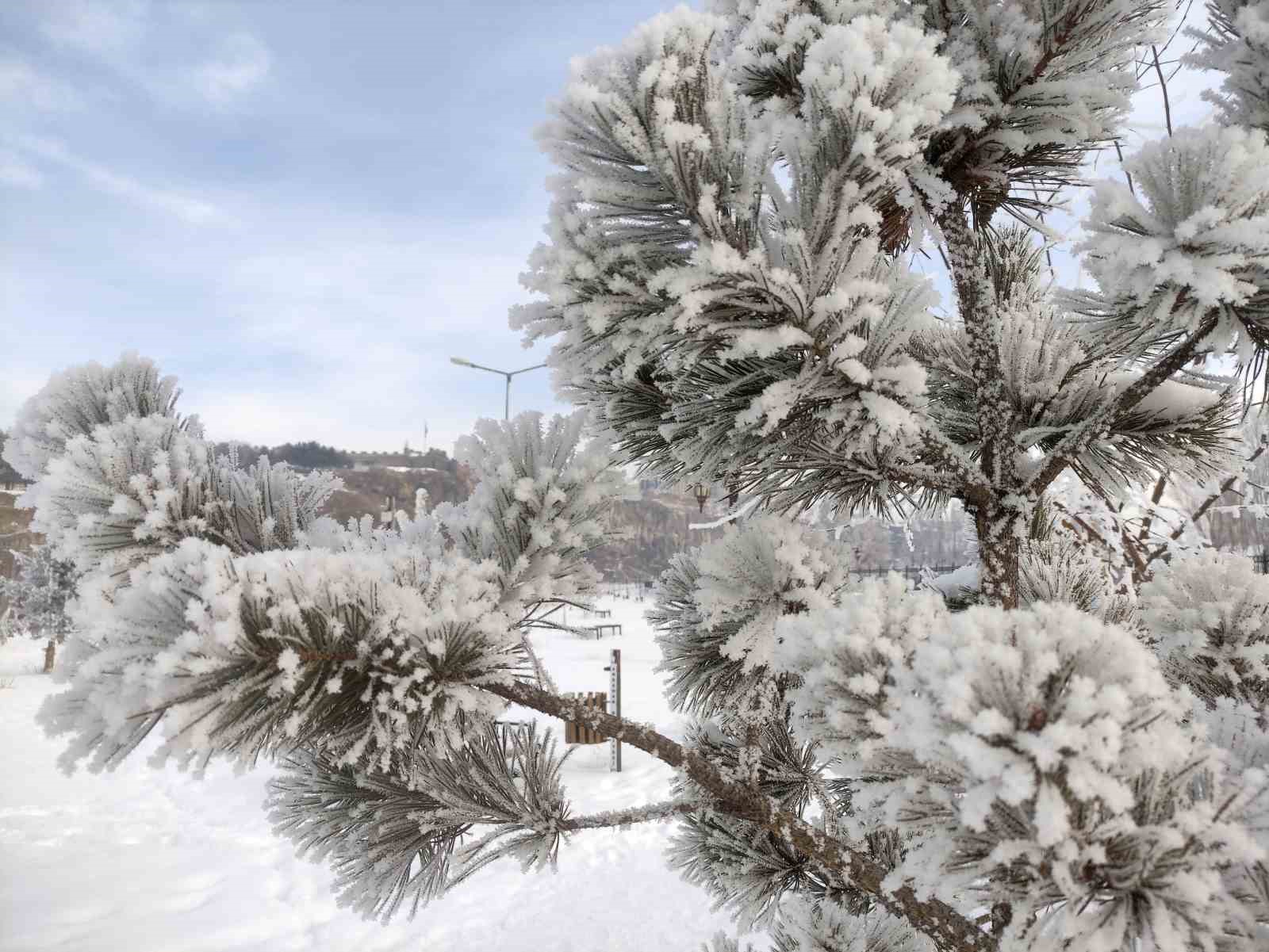 Ardahan’da dondurucu soğuklar etkili oldu
