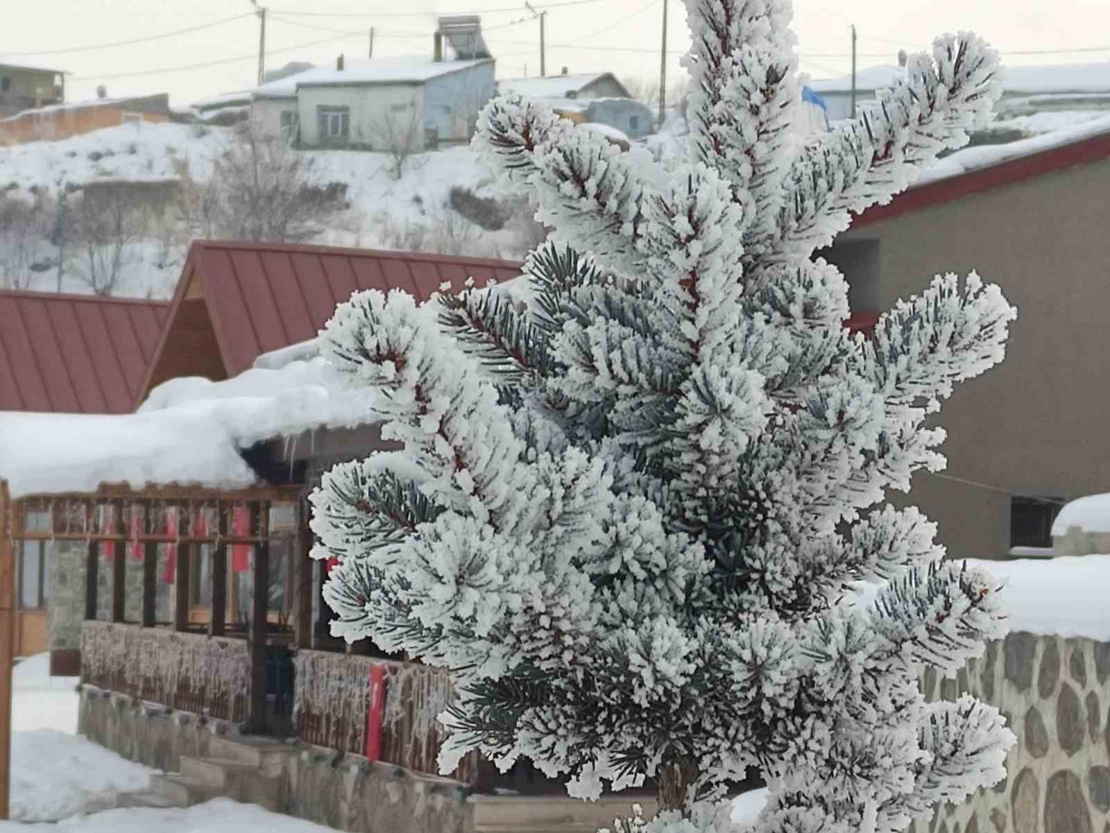 Ardahan’da kar sonrası dondurucu soğuklar etkili oldu
