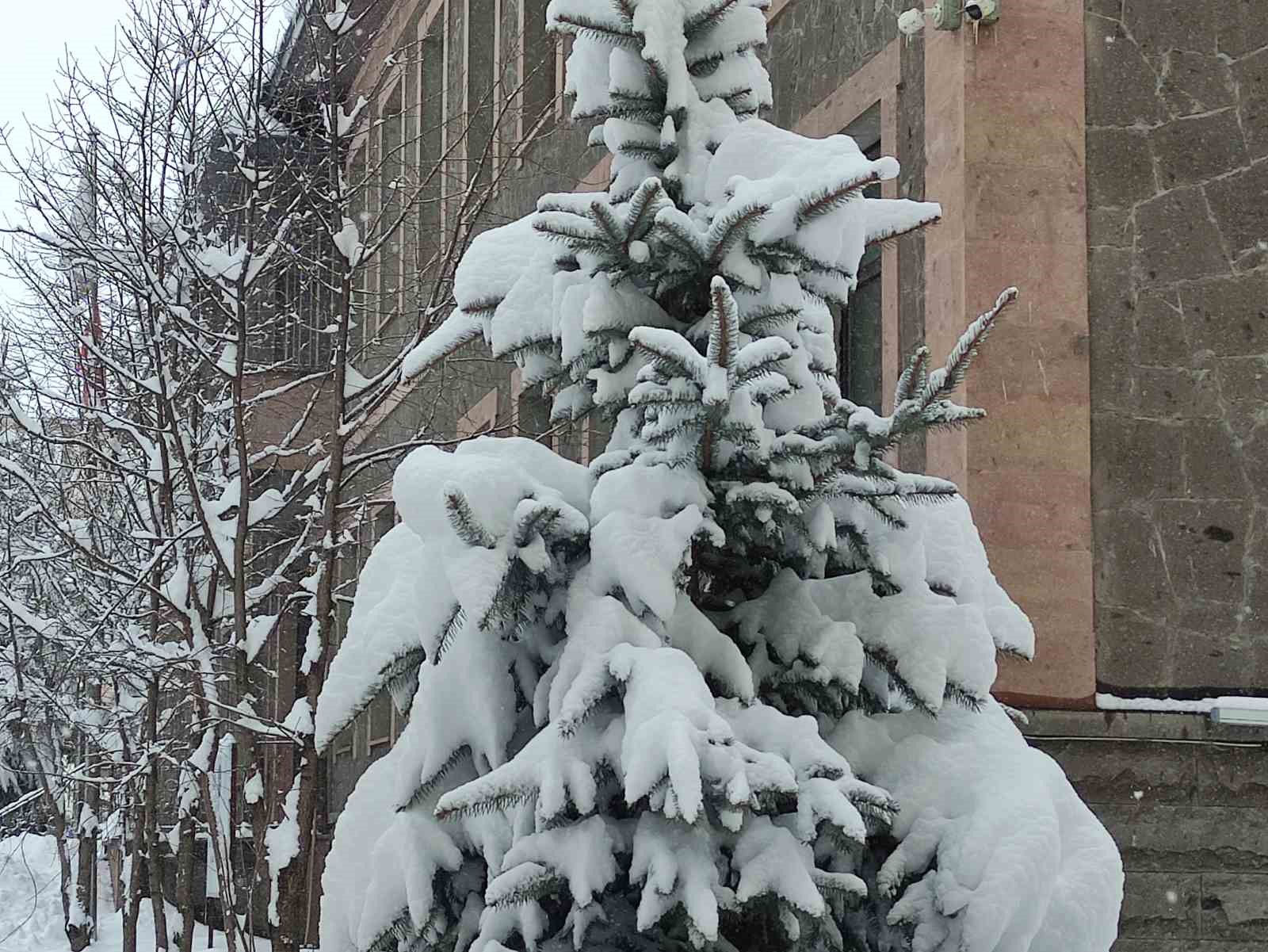 Ardahan’da kar yağışı yeniden başladı
