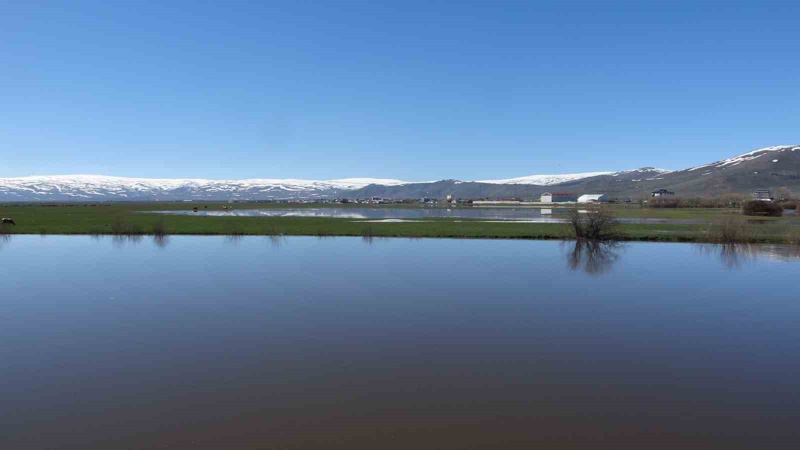 Ardahan’da Kura Nehri’nin debisi yükseldi
