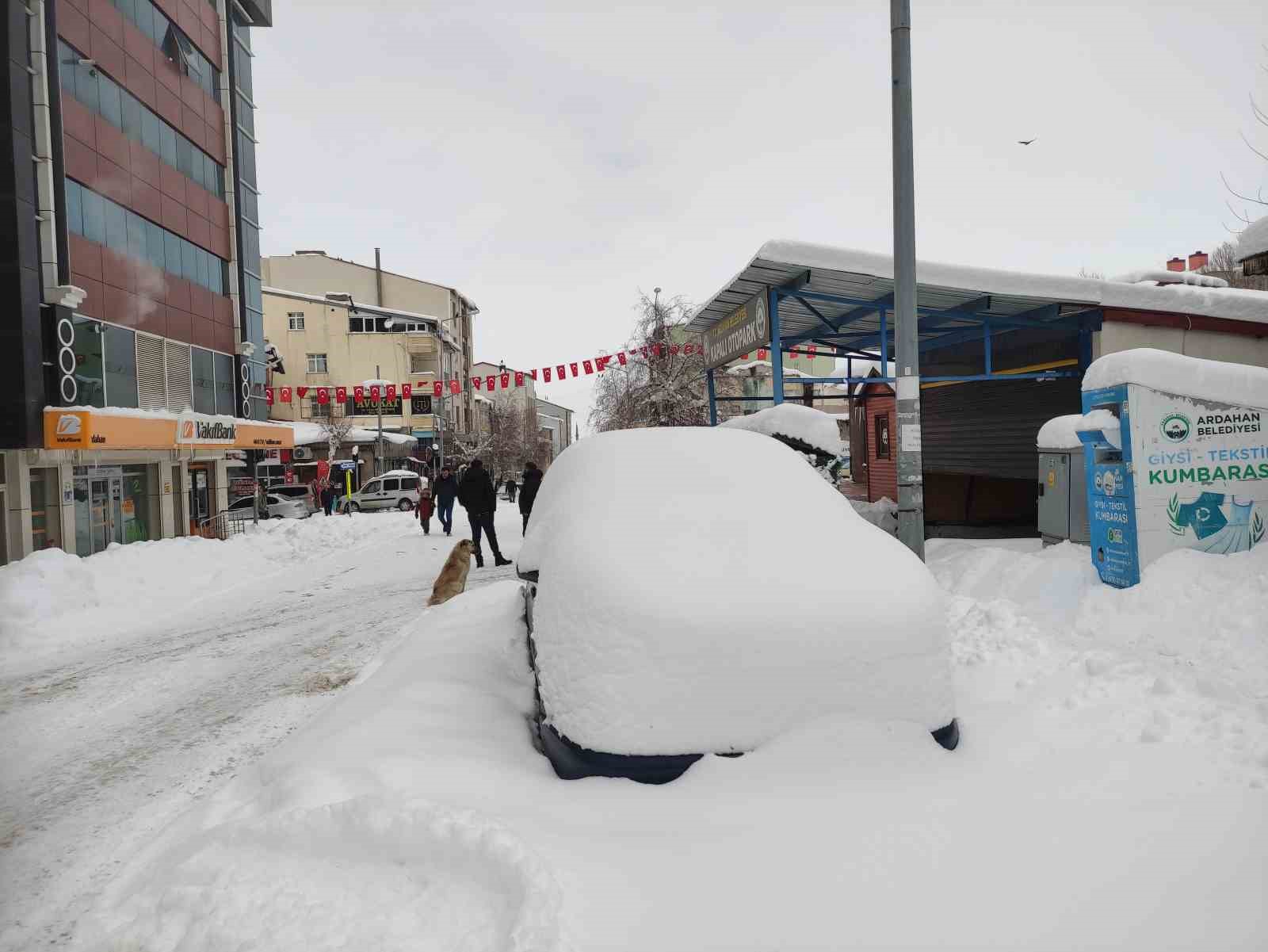 Ardahan’da nisan ayında kar sürprizi
